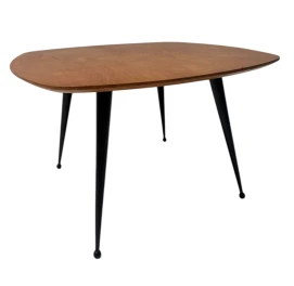 Mid-Century Modern TB16 Coffee Table by Cees Braakman for Pastoe, 1953